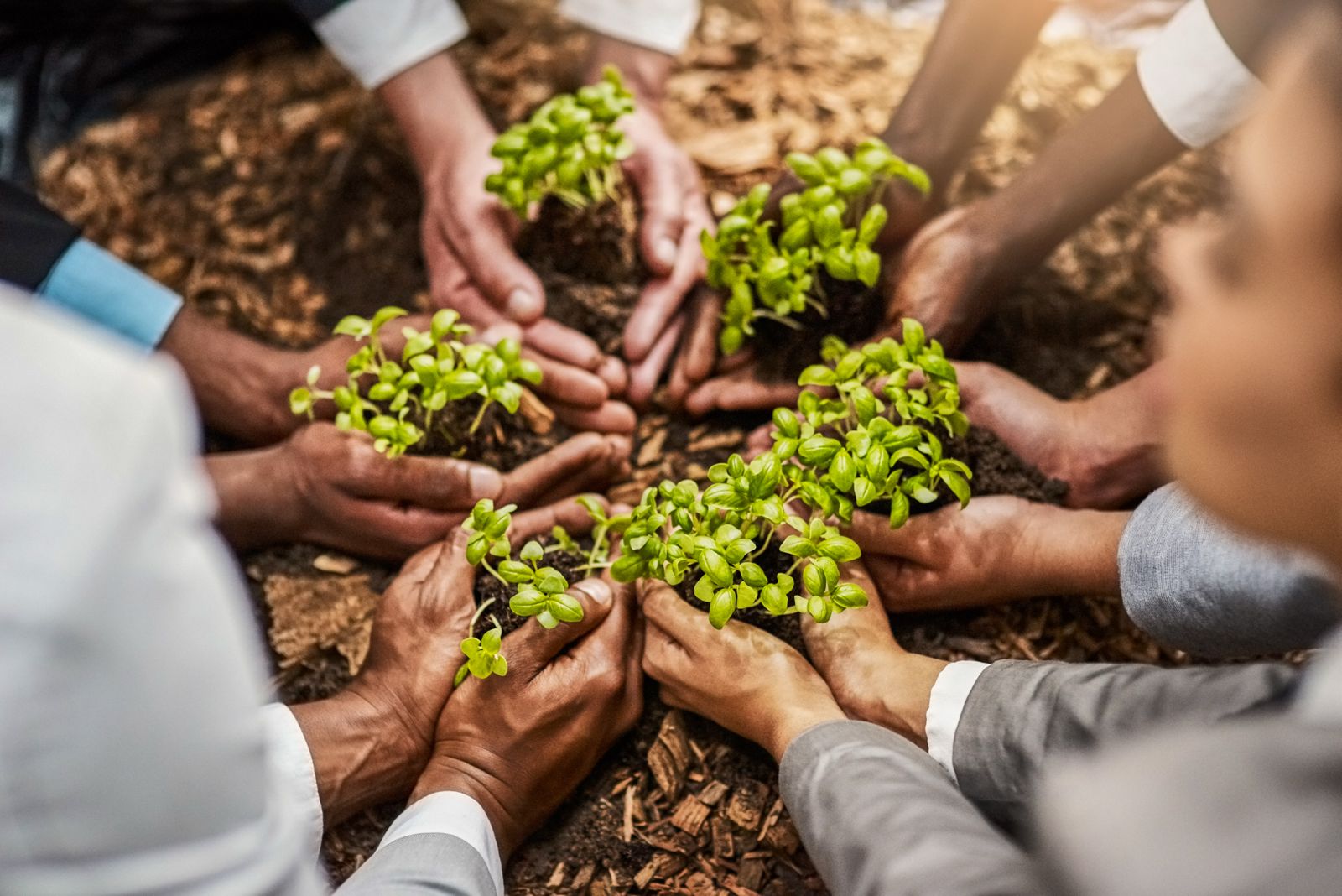 El estudio de APEC advierte que, sin una Infraestructura de la Calidad robusta —normalización, metrología y acreditación—, las políticas de economía circular carecen de eficiencia y confianza. (Foto: Difusión)