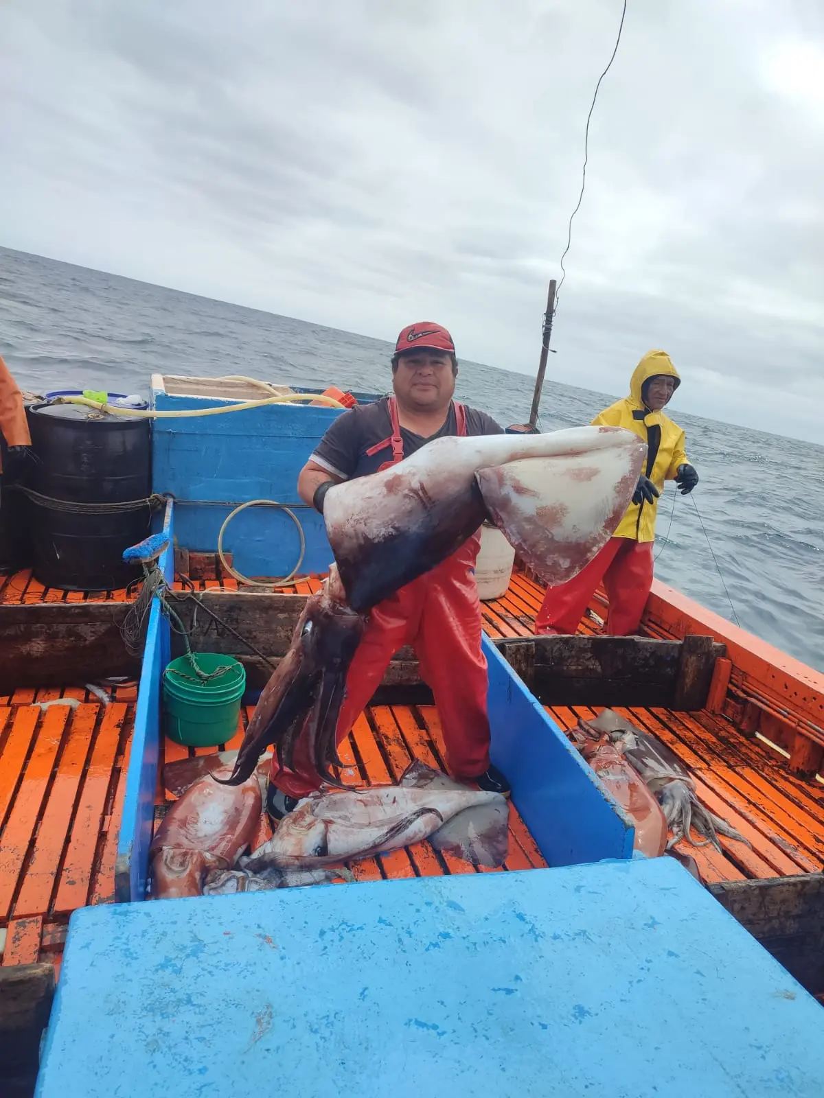 Según el reporte, China concentra el 98,7 % de toda la actividad de pesca con potera en la región, dominando ampliamente la pesquería de calamar gigante en altamar. (Fotos: EJF)