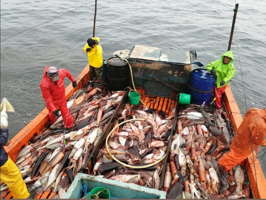 Las entrevistas a tripulantes revelan una prevalencia alarmante de trabajo forzoso, con retención de documentos, jornadas excesivas, violencia física y al menos 41 muertes registradas en buques pesqueros chinos entre 2013 y 2023. (Fotos: EJF)