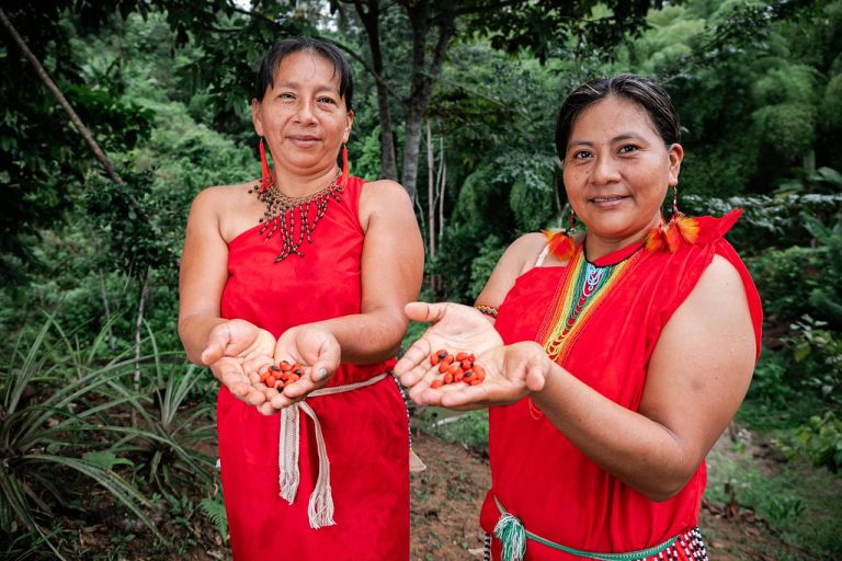El boom del café beneficia directamente a más de 223 mil familias involucradas en la producción, procesamiento y comercialización del grano en diversas regiones del país. (Foto: Difusión)