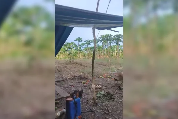 “Vienen y nos quieren sacar de nuestras tierras, nos agreden pese a que nosotros vivimos de la agricultura aquí en el sector La Ribera”, denunció el presidente comunal Francisco Córdoba Umbo. (Foto: Difusión)