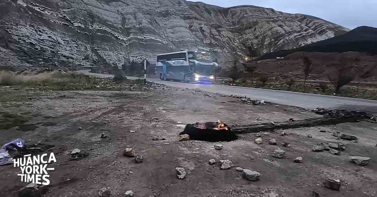 La propuesta de Concesión para Conservación “Ishichimi” busca proteger más de 15.000 hectáreas de bosque en la cuenca del río Huallaga, articulando a actores públicos, privados y comunitarios de la región San Martín. (Foto: Difusión)