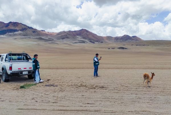El transporte de fauna silvestre sin autorización está considerado como una infracción muy grave y puede ser sancionado con multas superiores a las 10 UIT. (Foto: Difusión)