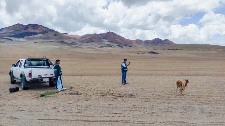 El transporte de fauna silvestre sin autorización está considerado como una infracción muy grave y puede ser sancionado con multas superiores a las 10 UIT. (Foto: Difusión)
