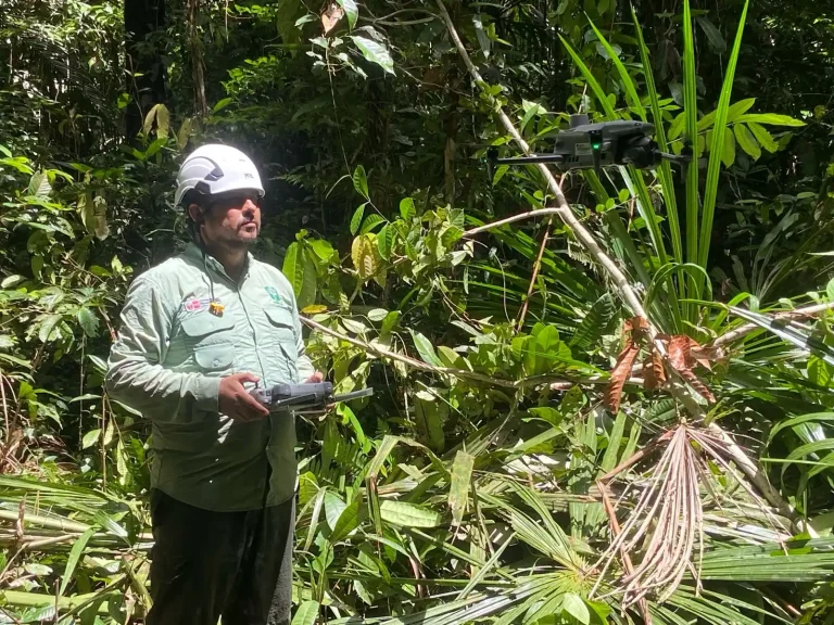 El OSINFOR marcó hoy un hito en la gestión ambiental al concluir con éxito la primera supervisión aérea optimizada de palmeras de aguaje, logrando identificar 8.142 especímenes gracias a la inteligencia artificial. (Foto: Difusión)