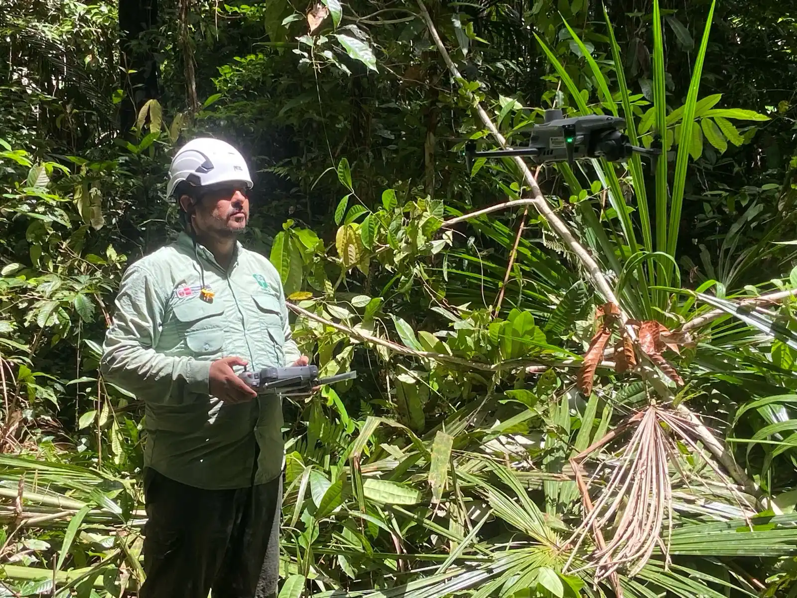 El OSINFOR marcó hoy un hito en la gestión ambiental al concluir con éxito la primera supervisión aérea optimizada de palmeras de aguaje, logrando identificar 8.142 especímenes gracias a la inteligencia artificial. (Foto: Difusión)