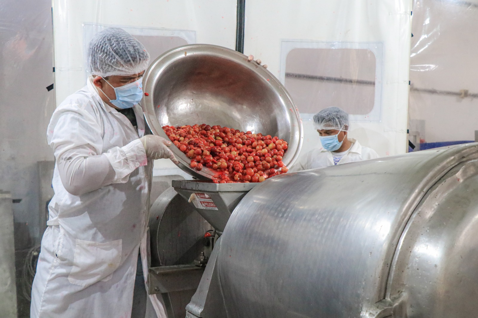 El programa cofinancia asistencia técnica, equipamiento y procesos de transformación y comercialización por montos de hasta 1.2 millones de soles para fortalecer negocios forestales maderables y no maderables. (Foto: Difusión)