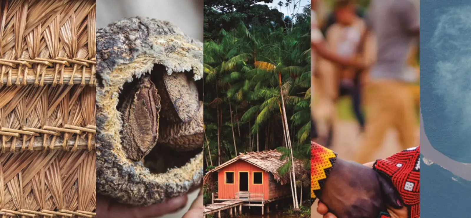 El futuro de la selva tropical más grande del mundo y la estabilidad climática global dependen urgentemente de proteger la interconexión entre sus ecosistemas, sus ríos y los 47 millones de personas que la habitan. (Foto: Difusión)