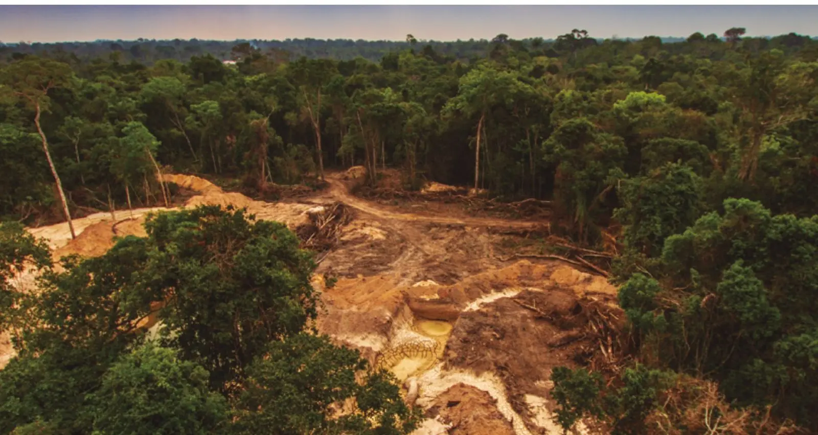 Si la deforestación supera el 20% de la cuenca y el calentamiento global excede los 2°C, la Amazonía podría alcanzar un colapso irreversible o 'punto de no retorno', transformándose en un ecosistema degradado y perdiendo su capacidad reguladora. (Foto: Difusión)