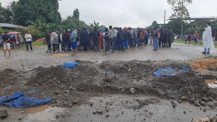 Arroceros de Aucayacu piden declaratoria de emergencia para el sector