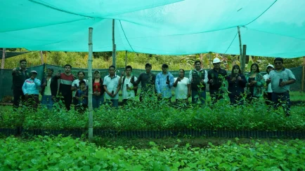 En las áreas de mayor vulnerabilidad, los pobladores instalarán especies específicas como el Eucalyptus grandis, destinado a estabilizar el terreno y prevenir huaicos y deslizamientos que amenazan constantemente sus hogares y medios de vida. (Foto: DIfusión)
