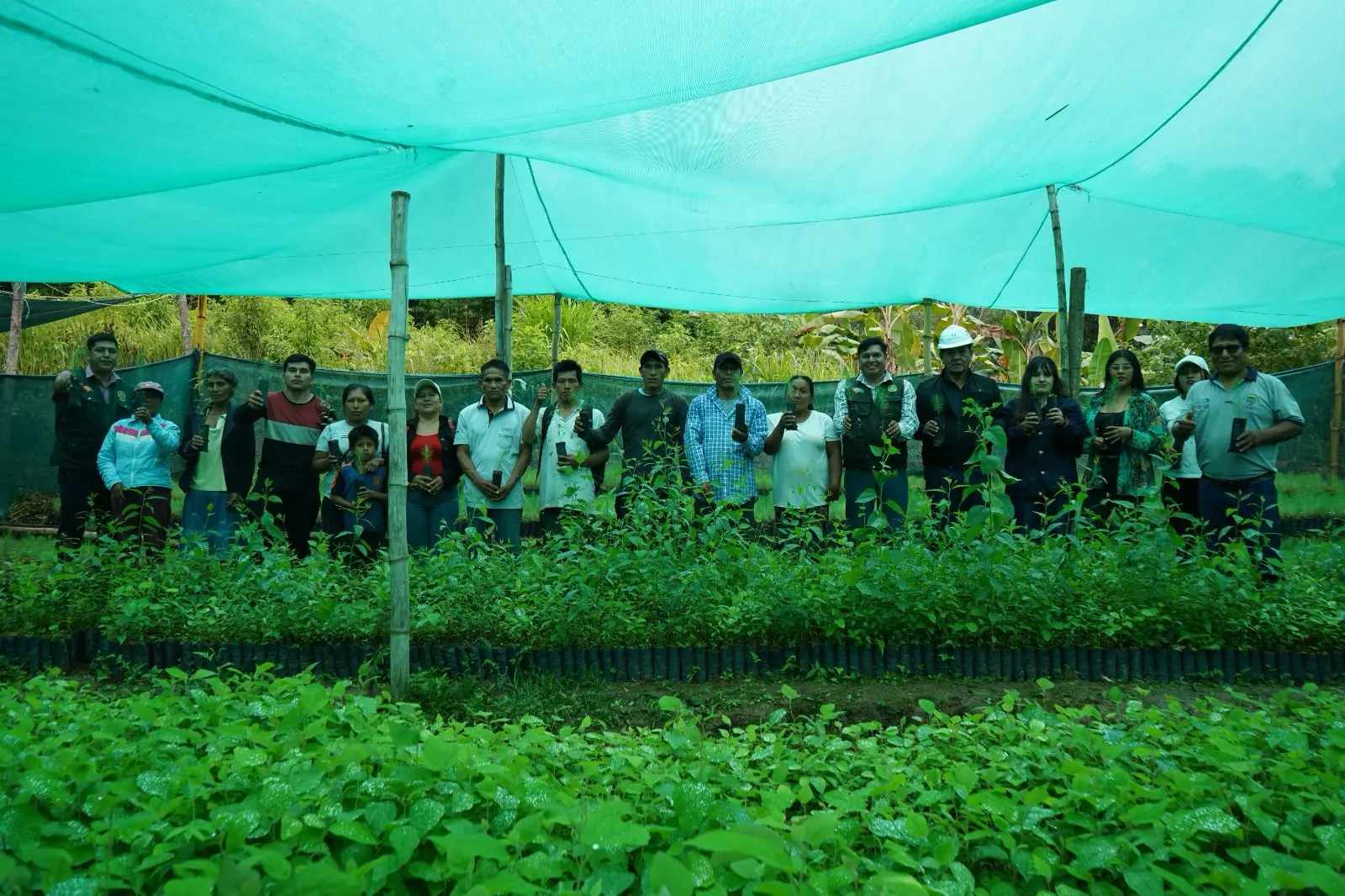 En las áreas de mayor vulnerabilidad, los pobladores instalarán especies específicas como el Eucalyptus grandis, destinado a estabilizar el terreno y prevenir huaicos y deslizamientos que amenazan constantemente sus hogares y medios de vida. (Foto: DIfusión)