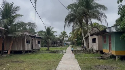 De una cuantiosa multa al éxito sostenible- El renacer de la comunidad nativa 12 de Octubre en Loreto_1