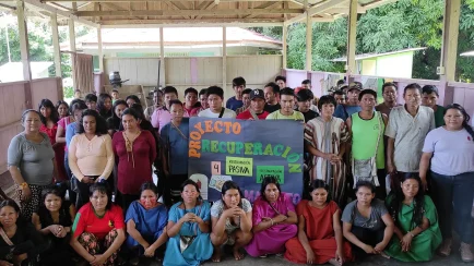 Las comunidades Asháninkas de la cuenca baja del río Ene han iniciado acciones para restaurar los bosques afectados por sequías e incendios forestales. (Foto: Difusión)