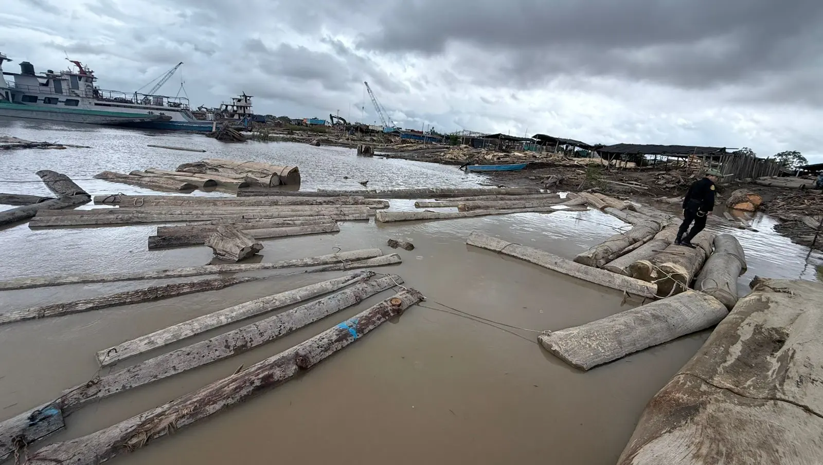 Durante la diligencia se procedió a la identificación, conteo y ubicación del material forestal encontrado. 