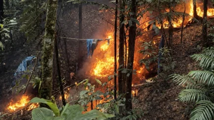 Personal policial de la Comisaría PNP Venenillo logró ubicar y neutralizar un laboratorio rústico destinado a la elaboración de pasta básica de cocaína (PBC). (Foto: Difusión)