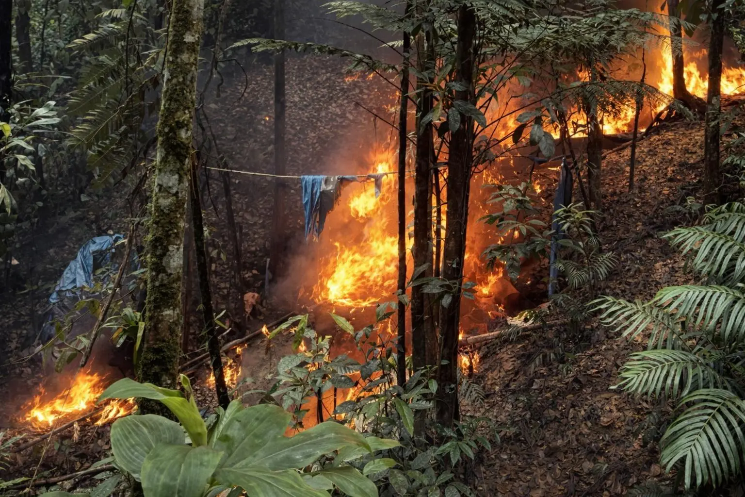 Personal policial de la Comisaría PNP Venenillo logró ubicar y neutralizar un laboratorio rústico destinado a la elaboración de pasta básica de cocaína (PBC). (Foto: Difusión)