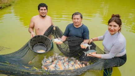 La feria busca dinamizar la economía local y visibilizar el trabajo de los productores acuícolas. (Foto: Difusión)