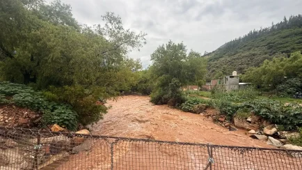 El río Higueras ha alcanzado aproximadamente 60 metros cúbicos por segundo, mientras que el río Huallaga registra picos que superan los 300 metros cúbicos por segundo en el punto de control de Taruca. (Foto: Difusión)