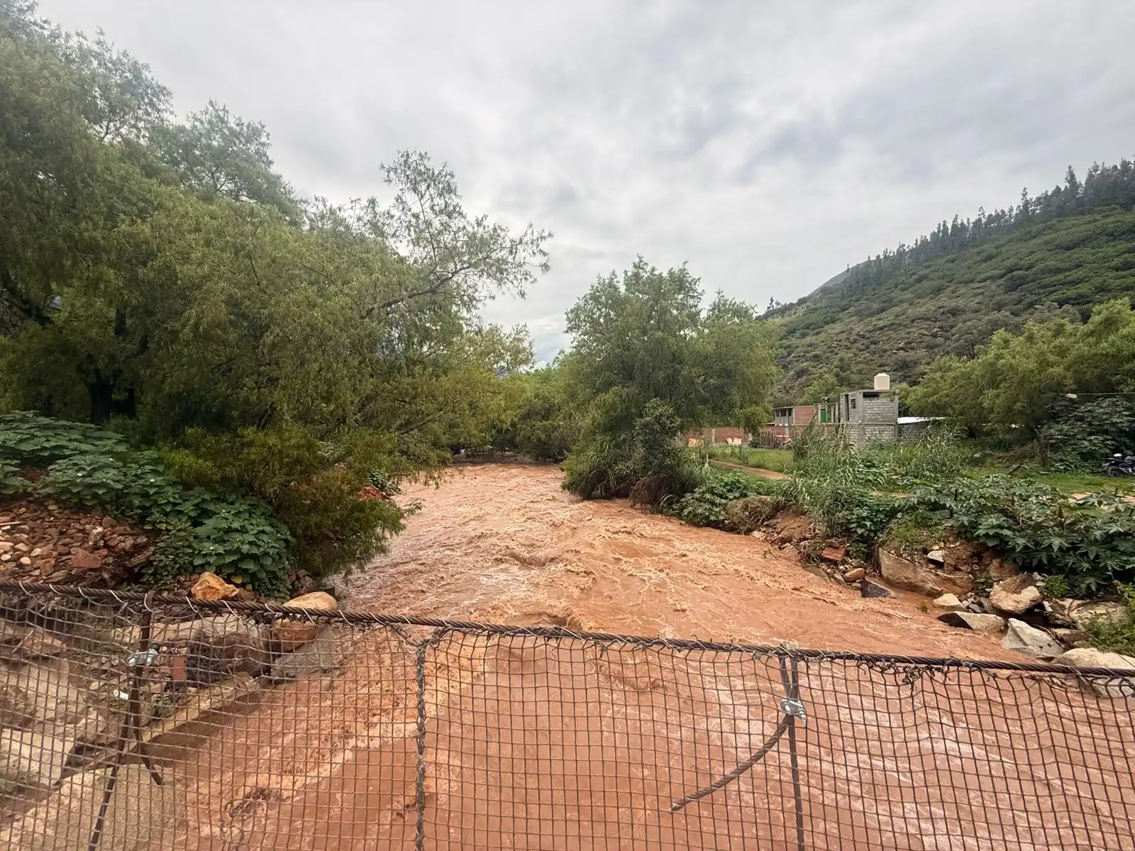 El río Higueras ha alcanzado aproximadamente 60 metros cúbicos por segundo, mientras que el río Huallaga registra picos que superan los 300 metros cúbicos por segundo en el punto de control de Taruca. (Foto: Difusión)