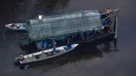 La Fiscalía Especializada en Materia Ambiental de Loreto logró que se dicte una condena por el delito de financiamiento de la minería ilegal en la cuenca del río Nanay. (Foto: Difusión)