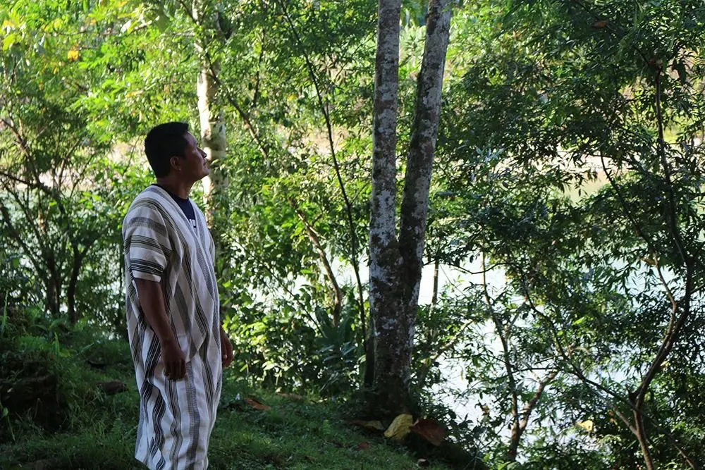 Más de 590 defensores han enfrentado situaciones de riesgo inminente desde 2019, principalmente por amenazas vinculadas al narcotráfico, la tala y la minería ilegal. (Foto: Difusión)