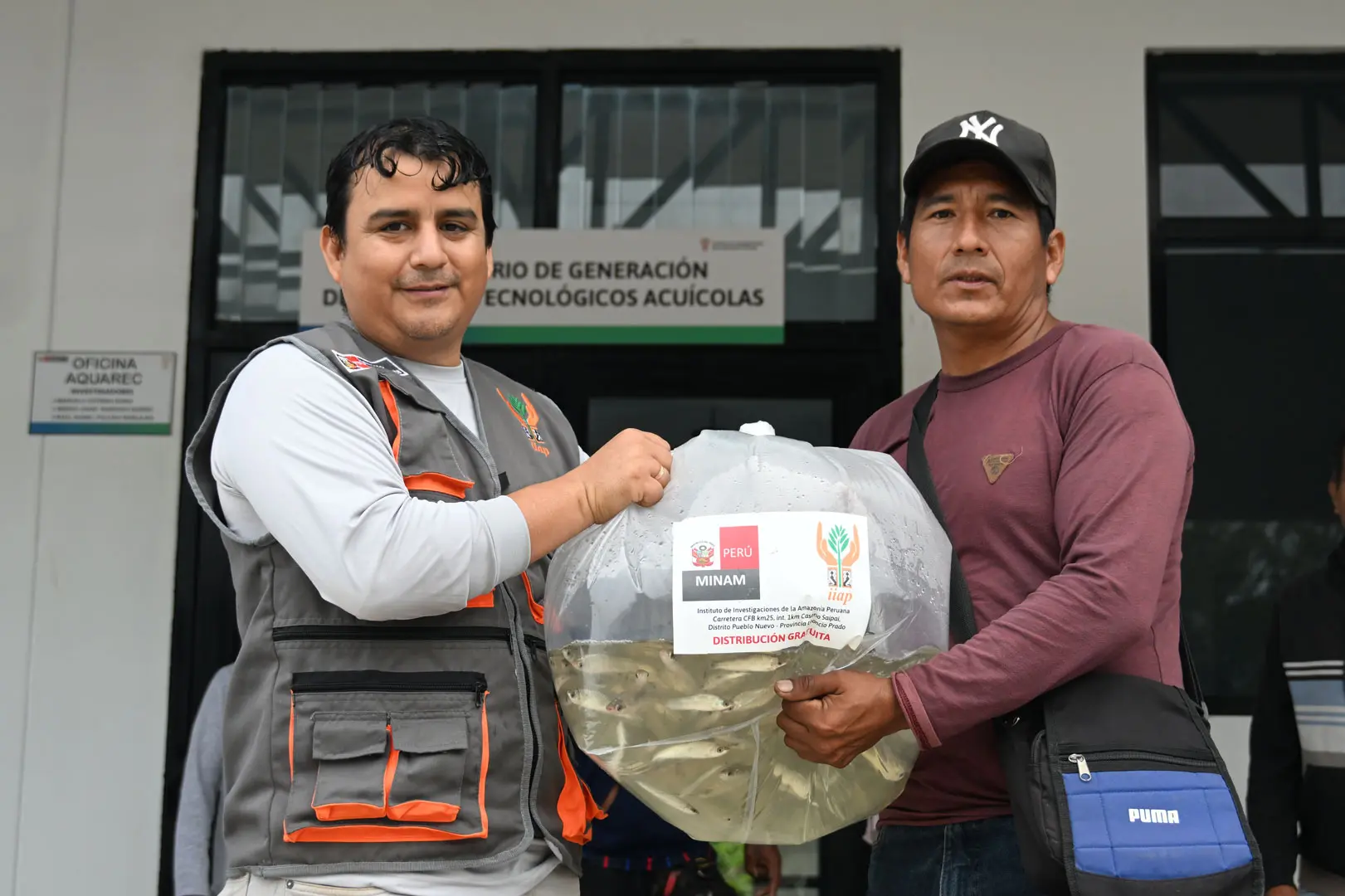 Tras cuatro años de investigación en laboratorio, los ejemplares fueron entregados a 28 familias piscicultoras de 15 caseríos en la provincia de Leoncio Prado. (Foto: Difusión)