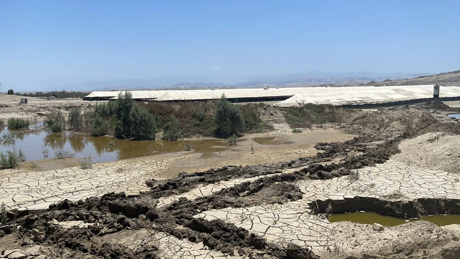 El desborde del río Ica dejó 240 hectáreas de cultivos productivos severamente afectadas en varias comunidades del distrito de Ocucaje. (Foto: Difusión)