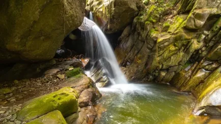El Gobierno oficializó la creación del Área de Conservación Regional Huamantanga y Chorro Blanco en la provincia de Jaén, en Cajamarca, con el objetivo de proteger ecosistemas estratégicos y asegurar el abastecimiento de agua para más de 116 mil personas. (Foto: Difusión)
