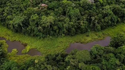 El foro se perfila como un espacio clave para definir alianzas estratégicas y reglas de juego que impulsen un desarrollo sostenible basado en la riqueza natural del país. (Foto: Difusión)