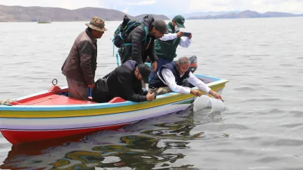 Perú y Bolivia lanzan iniciativa para recuperar la pesca en el Lago Titicaca