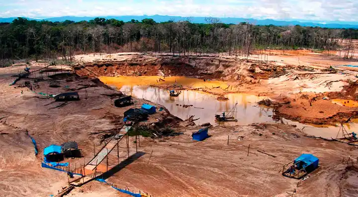 Planes de gobierno exhiben diferencias en las propuestas para enfrentar la minería ilegal_1