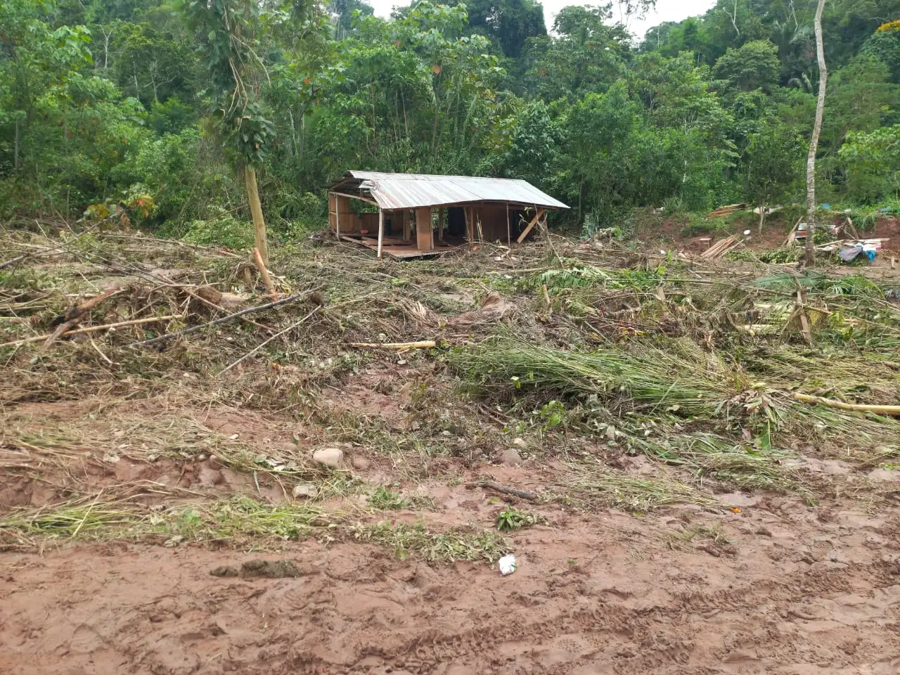 De las 35 familias afectadas, 22 han perdido absolutamente todo, quedándose sin vivienda, alimentos ni medios de subsistencia. (Foto: Difusión)